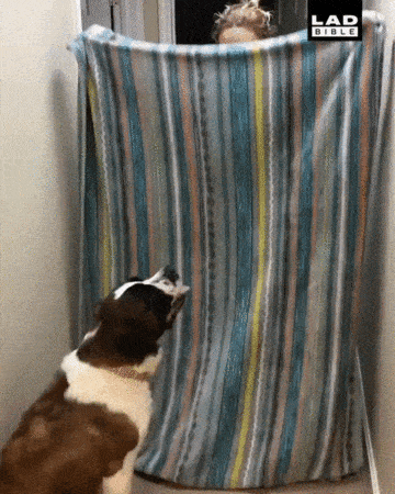 0AA70C7E-2219-44E8-9E3F-C9D7E98C2491.gif