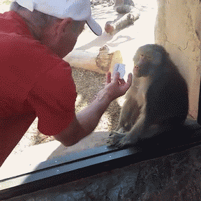 17F4A45E-FB31-408E-89D7-33D3810741BA.gif