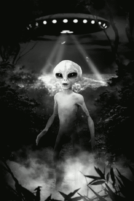 1BB4C879-BDCB-4635-A383-2506E2B2D29B.gif