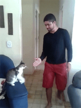 2A5AEA70-26FF-49D0-B5BF-27FACD418C93.gif