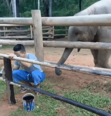 2BF06914-54C2-4775-96FD-DD15245F5D81.gif