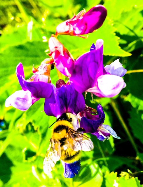 2E4B9699-1764-4A4A-9EF4-C01924D2D908.jpeg