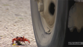 3E379A61-F3DD-4E43-AF82-394597C0777D.gif