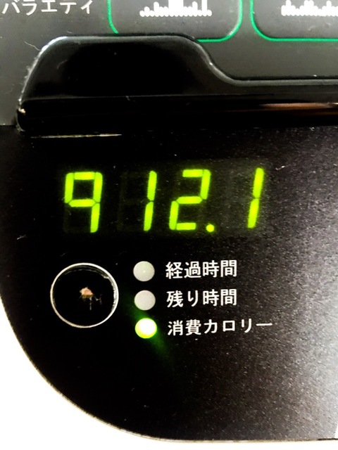 4A46CF99-0C20-4AB3-AA01-7F9D605AE76D.jpeg