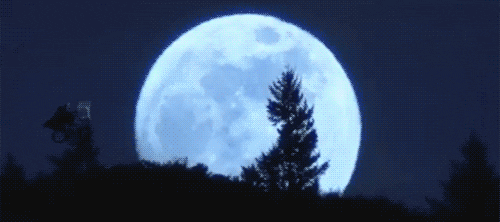4DE0CE16-13CA-4D30-A7C6-A9E98EE03213.gif