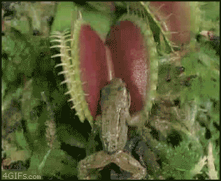 5AD530CE-E000-42F8-96D5-3D1103322ED1.gif