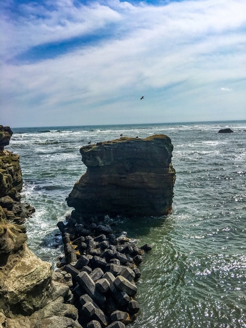 5C3B6B54-CE31-4A76-9F2E-5619042348B2.jpeg
