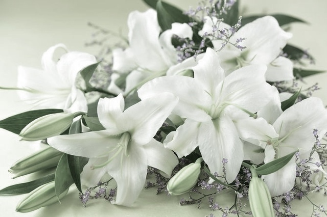 5DB0ED57-EB8B-4AD7-8010-BE8D3ED71AA4.jpeg