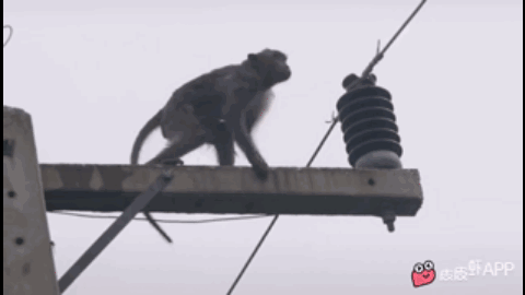 63F41CDC-CF77-4A14-AD95-BD3D42C0F664.gif