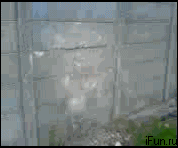 71FEA8CD-1AEB-4D3E-A4D7-49EC11F6F70A.gif
