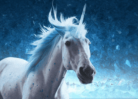 7417AFBA-77B4-403C-8A2E-96F9E9F30DB3.gif