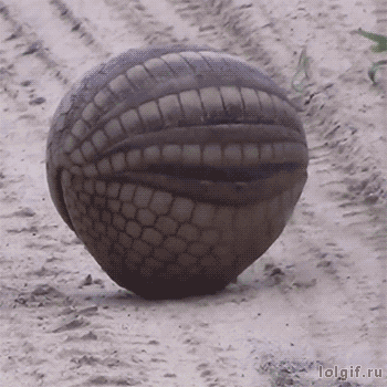 7921315A-082E-4D9A-AA63-AA8D21CD6992.gif