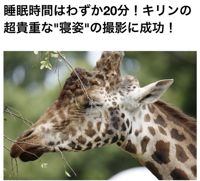 84470A36-1F61-446E-AB6F-843397BED81D.jpeg