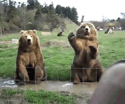 865650C6-9413-4241-9CB8-90487E689E1D.gif