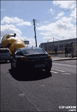 8656B973-9086-4ED1-A68A-B5EEEC163798.gif