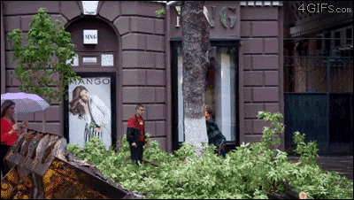 A5723654-3F90-450B-B642-76AC53D6FB5A.gif