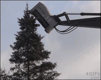 AB3CA19C-42EC-4EEF-90CA-9D85A853048D.gif