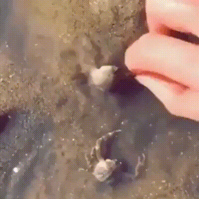 B0B52094-A91D-4739-A6E5-529F4BE293C5.gif