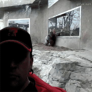 B681D3B5-7E0D-4559-B44B-558F2C64A1CE.gif