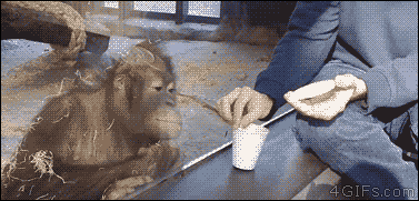 B8CB6CEC-245D-46AF-9EAB-04C4309A63D0-cbfcd.gif
