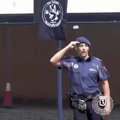 F007B8C3-3AA3-4BF7-B4EA-89979DB05E54.gif