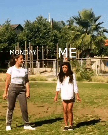 FEF687D6-D286-46EF-926C-F0A221C28C40.gif