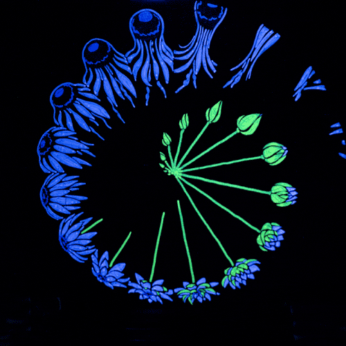 FFBF3969-54DD-45B7-B9CE-20C37B69B42F.gif