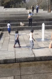 IMG_0283.gif