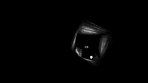 IMG_2642.gif