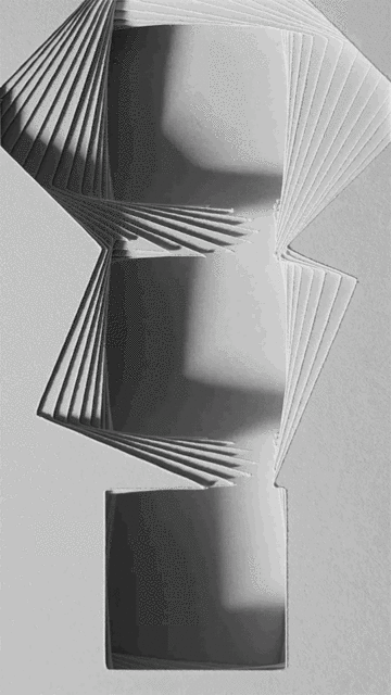IMG_3008.gif