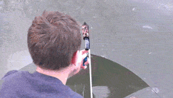 IMG_3221.gif