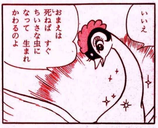 IMG_3250.jpeg