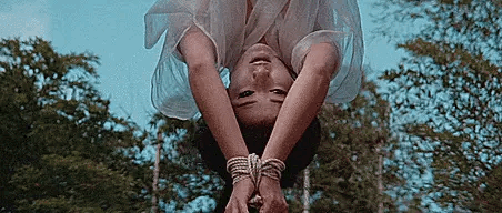 IMG_3748.gif