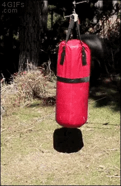 IMG_3882.gif