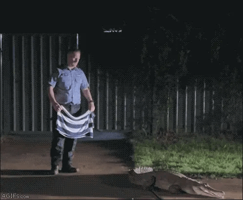 IMG_3887.gif