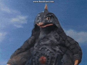 IMG_4364.gif